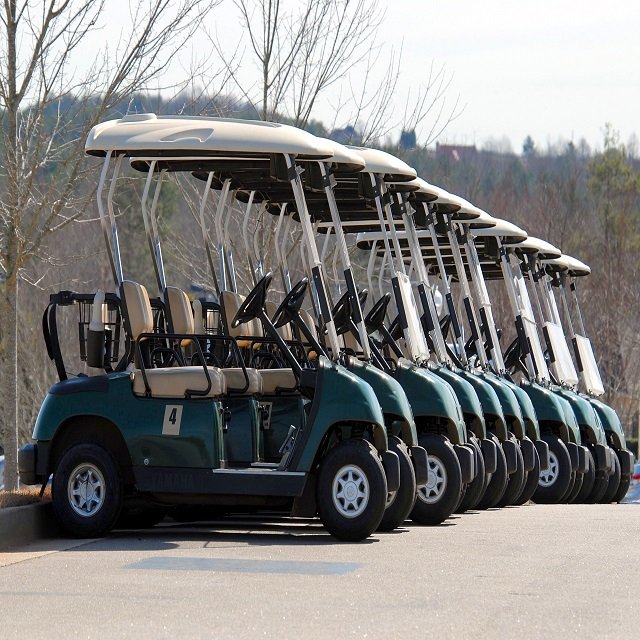 Buy Premium Quality 4 to 6 Passenger Classic Enclosed Gas Golf Cart Fast Delivery In Stock Affordable Price Order Today