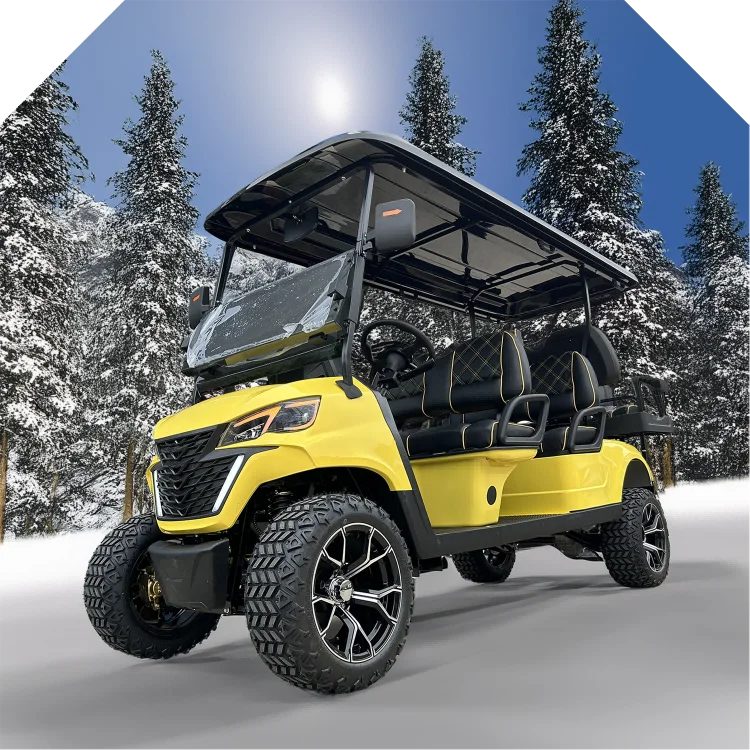 Modern Design Offroad Golf Buggy Hot Sale 2+2 Seats 48V Electric Golf Carts Street Legal