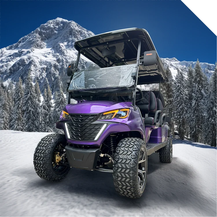 Modern Design Offroad Golf Buggy Hot Sale 2+2 Seats 48V Electric Golf Carts Street Legal